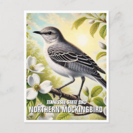 Tennessee State Bird Northern Mockingbird Vykort