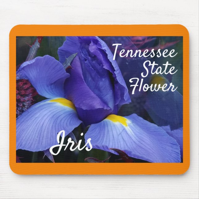 Tennessee State Flower Iris Nature Photography Musmatta (Framsidan)