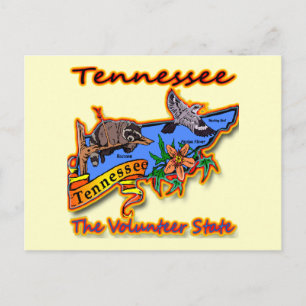 Tennessee State Racoon Flower Bird B Vykort