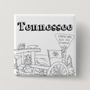 Tennessee State Symbols Volunteer State Bilder Knapp