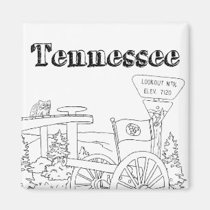 Tennessee State Symbols Volunteer State Bilder Magnet