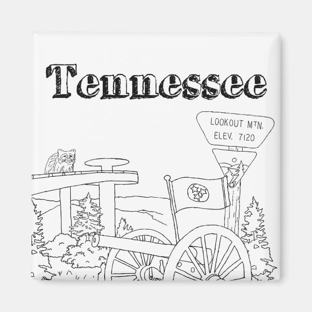 Tennessee State Symbols Volunteer State Bilder Magnet (Framsidan)