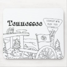 Tennessee State Symbols Volunteer State Bilder