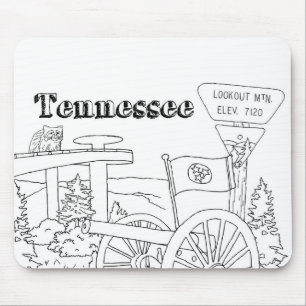 Tennessee State Symbols Volunteer State Bilder Musmatta