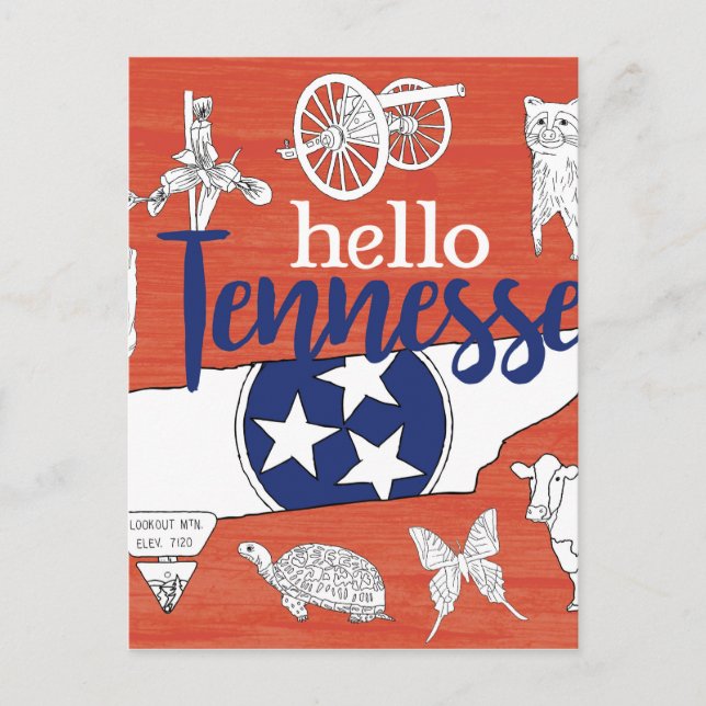 Tennessee State Symbols Volunteer State Bilder Vykort (Framsida)