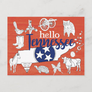 Tennessee State Symbols Volunteer State Bilder Vykort