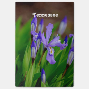 Tennessee statlig blomma post-it block