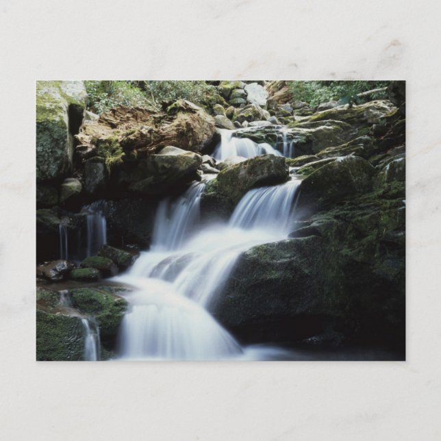 Tennessee, Underbarare Rökbergsparken 3 Vykort (Framsida)