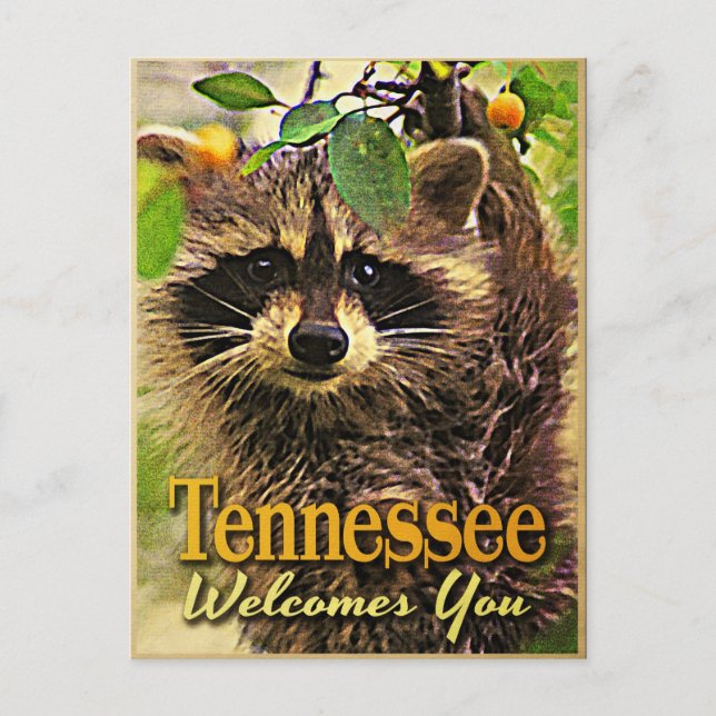 Tennessee välkomnar You Raccoon Vykort (Framsida)