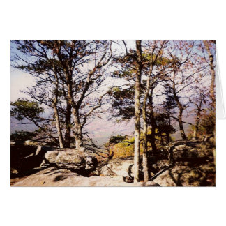 Tennessee vilder hälsningskort