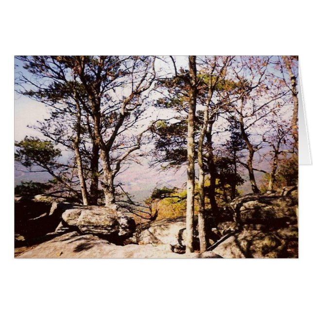 Tennessee vilder hälsningskort (Framsidan Horizontal)