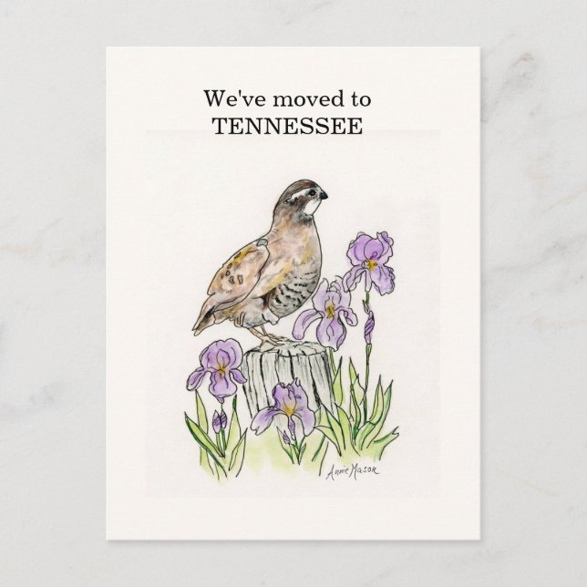 Tennessee Vykort (Framsida)