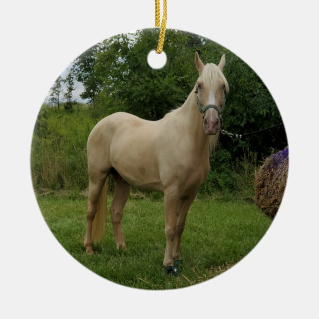 Tennessee Walking Horse ornament (Framsidan)