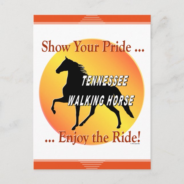 Tennessee Walking Horse Visa ditt Pride Vykort (Framsida)