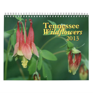 Tennessee Wildblommor 2013 Calendar Kalender
