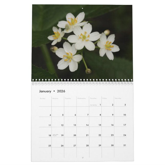 Tennessee Wildblommor 2013 Calendar Kalender (Jan 2026)