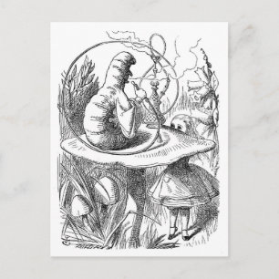 Tenniels Alice in Wonderland Postcard Vykort