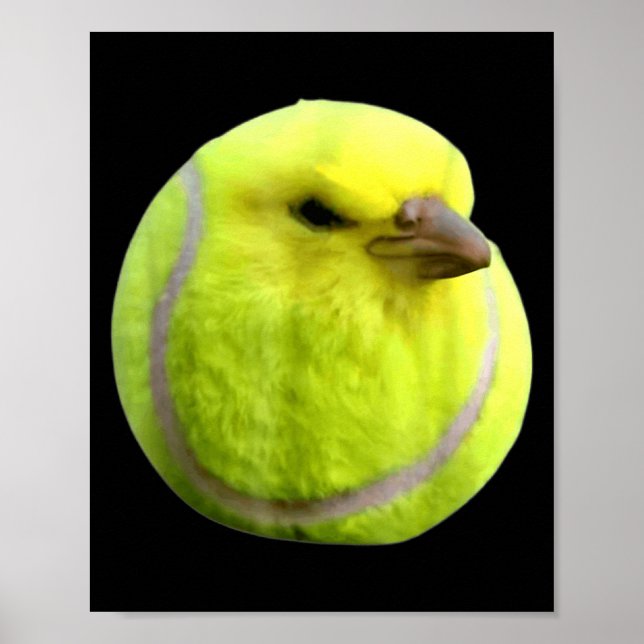 Tennis Bird Meme Round Budgie Tennis Ball  Poster (Framsidan)
