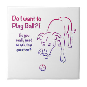 Tennis Boll Hund Kakelplatta