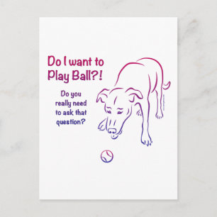 Tennis Boll Hund Vykort