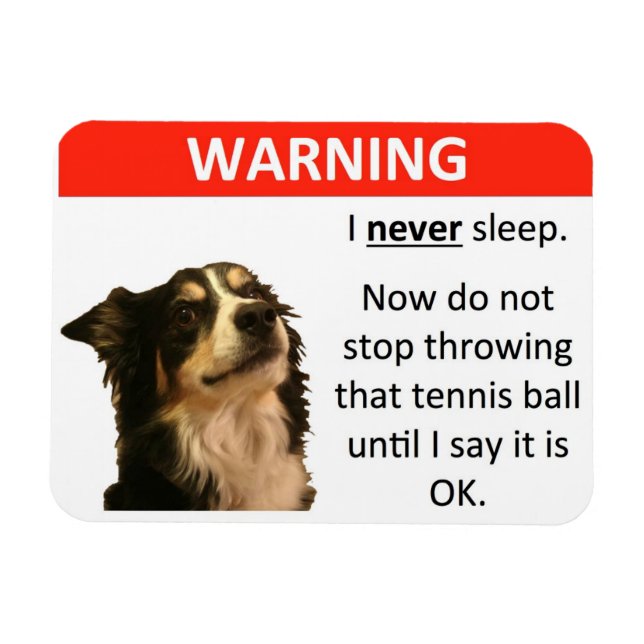 Tennis Boll Warning (Gräns Collie) Magnet (Horisontell)