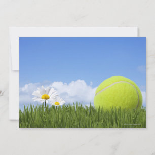 Tennis Bollar