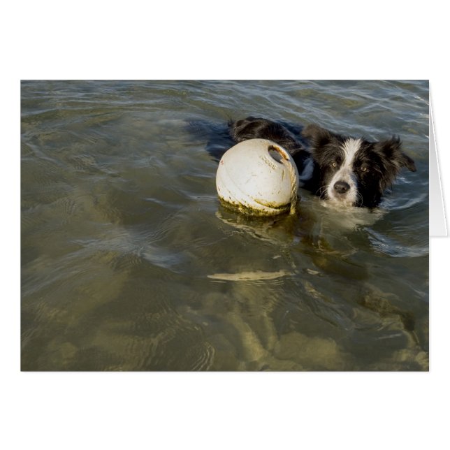Tennis bollar är för svagheter! hälsningskort (Framsidan Horizontal)