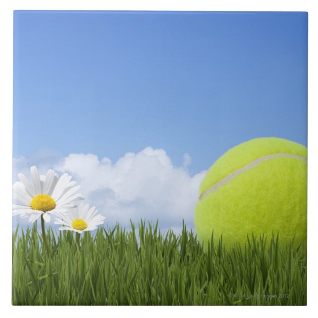 Tennis Bollar Kakelplatta (Framsidan)