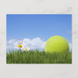 Tennis Bollar Vykort