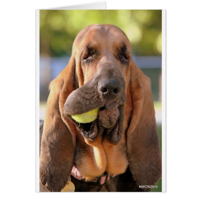 Tennis, någon? hälsningskort (Framsidan)