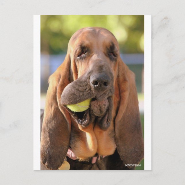 Tennis, någon? vykort (Framsida)