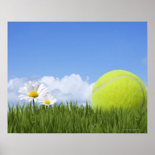 Tennisbollar Poster