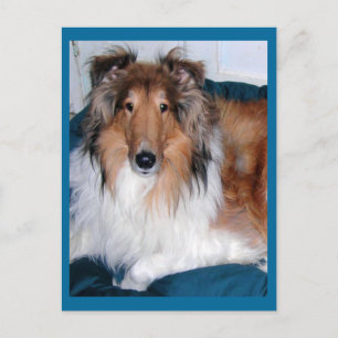 Tennyson-A collie Vykort