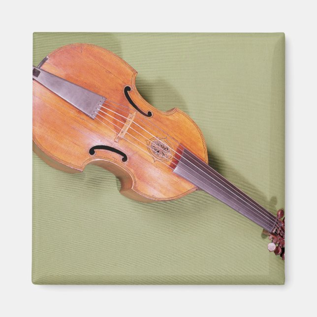 Tenor viol, 1667 magnet (Framsidan)