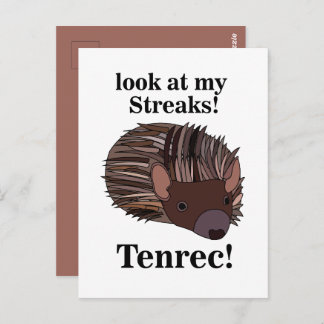 Tenrec Animal Funny Vykort
