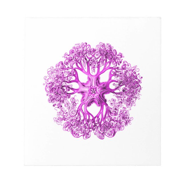 Tentacle-avsnitt i Rosa Anteckningsblock (Framsida)