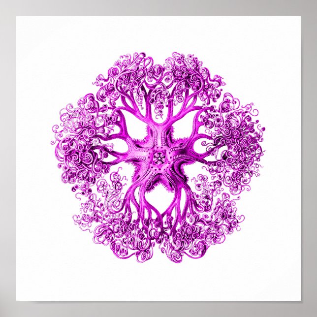 Tentacle-avsnitt i Rosa Poster (Framsidan)