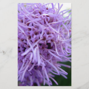 Tentacle Spider Violet Flower Brevpapper