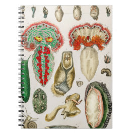 Tentakler Octopus Squidward tentacles Anteckningsbok