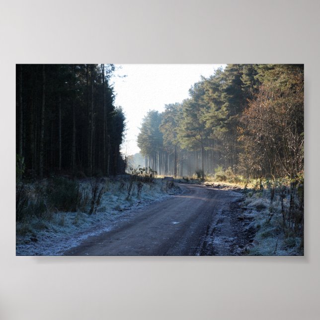 Tentsmuir Forest Poster (Framsidan)