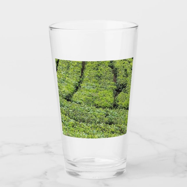 Teodlingar i Munnar på Glaskopp (Framsida)