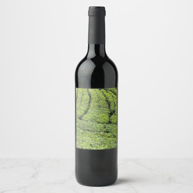 Teodlingar i Munnar på vinflaskans etikett (Framsida)