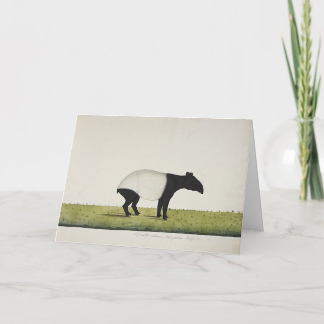 Tepir hälsningkort kort (Framsida)