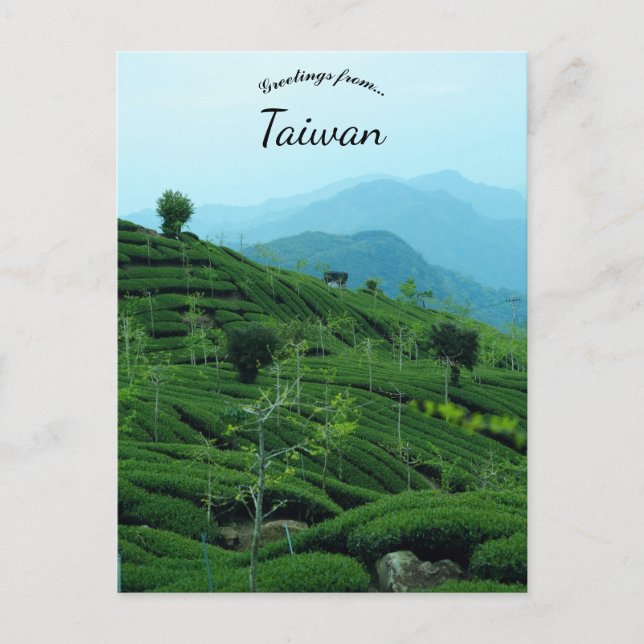 Teplantage på Taiwan Vykort (Framsida)