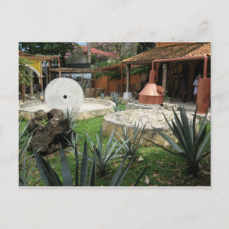 Tequila Brewery i Cozumel Vykort