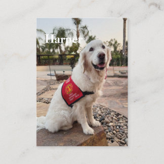 Terapidoghandelskort för terapi hund besök
