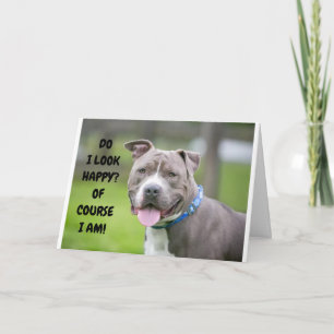 *TERILLERADE HUND SKICKAR GRATTISAR TILL DIG* KORT