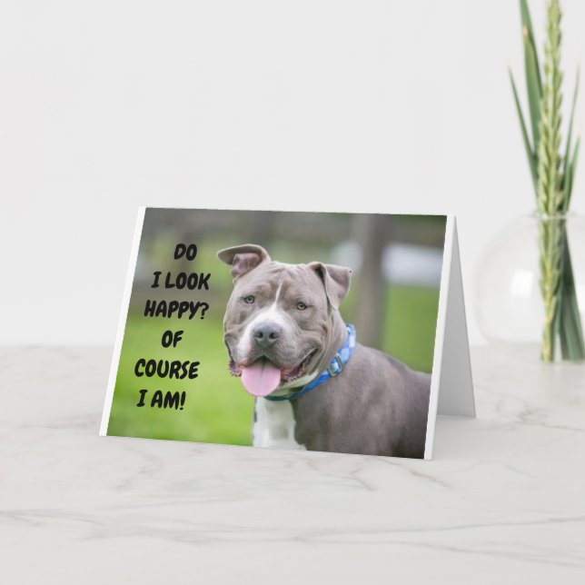 *TERILLERADE HUND SKICKAR GRATTISAR TILL DIG* KORT (Framsida)