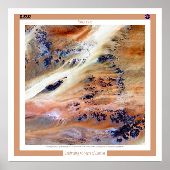 Terkezi Oasis Poster (Framsidan)