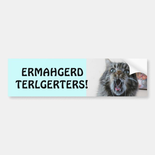 Terlgerters! Ermahgerd! Shockade Kattunge Tailgate Bildekal (Framsidan)